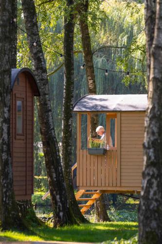 a girl in a tree house in a forest at Camping Papillon Kinrooi - Pipowagen 2p terras in Kinrooi
