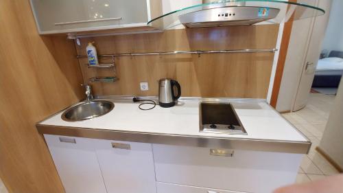 基辅Apartment with terrace on Khreschatyk, Bessarabska Square的厨房柜台配有水槽和平板电脑