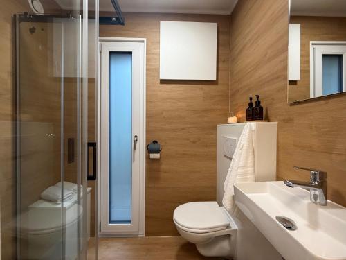 een badkamer met toilet, wastafel en douche bij Holiday & Stay, Tiny living in Fronreute