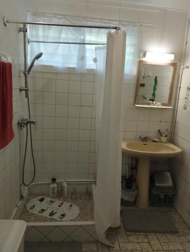 a bathroom with a sink and a shower with a shower curtain at Petite Kaz KRÉOL in Basse-Terre