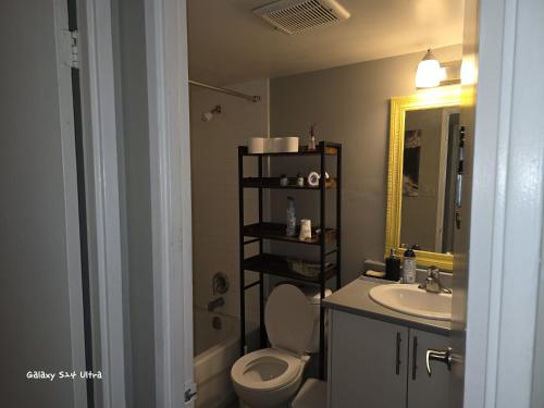 a bathroom with a toilet and a sink and a mirror at Simple entire apartment 2 bedroom night rest in Kitchener