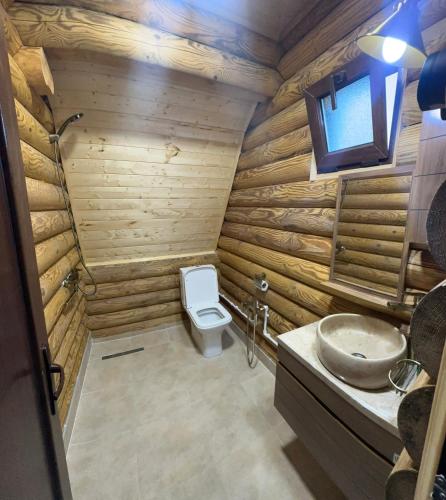 a wooden bathroom with a toilet and a sink at VIP-comfort BORJOMI in Borjomi