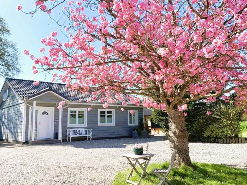 een roze bloeiende boom voor een huis bij Landhaus Scholz in Dollerup