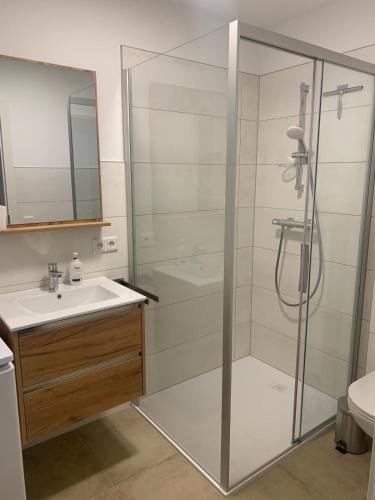 a bathroom with a shower and a sink at alpsrental Apartments Freja Obertauern in Obertauern
