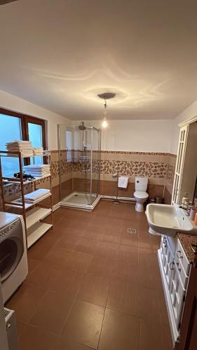 a bathroom with a shower and a toilet and a sink at Casa Mario 1 in Drobeta-Turnu Severin