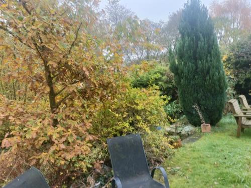 ダービーにあるWillow Lodgeのベンチ付き庭園