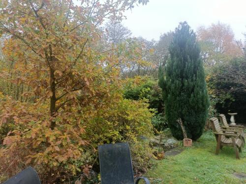 ダービーにあるWillow Lodgeのギャラリーの写真