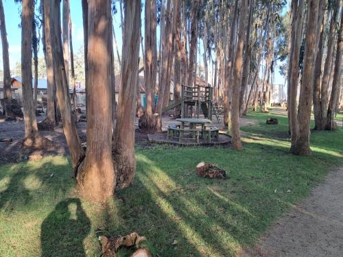 Imagem da galeria de Departamento Costa Algarrobo Norte em Mirasol