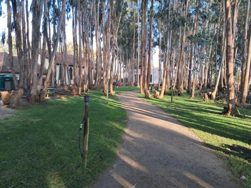a dirt road with a bunch of trees and grass at Departamento Costa Algarrobo Norte in Mirasol