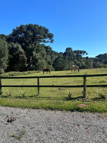 Un paisaje natural cerca del chalet de montaña