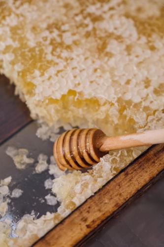 Фотография из галереи Palacete do Guerreiro Charme Hotel & SPA в городе Оливейра-ду-Ошпитал