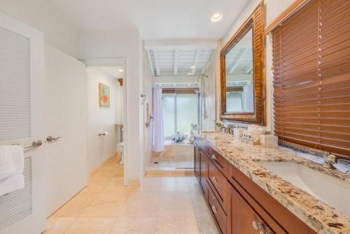 カハナにあるKapalua Bay Villas 35G1 · KBV 35G1 Luxury Kapalua Villa w AC Pooのバスルーム(大型シンク、バスタブ付)