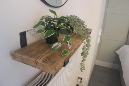 Court Studio Apartment photo 23