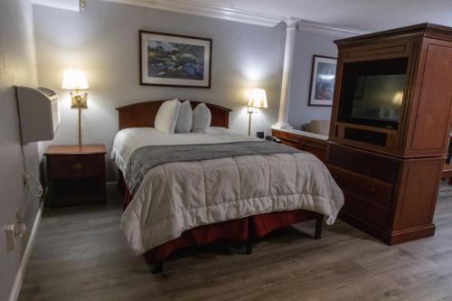 a hotel room with a bed and a tv at Homestead Lodge Apart Hotel in Pleasantville
