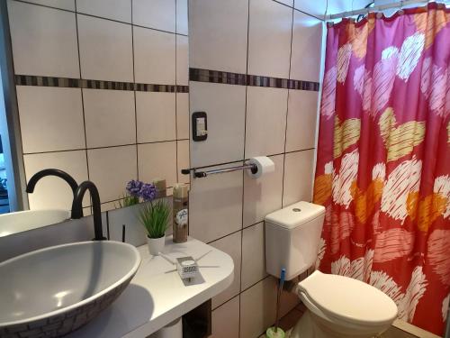 a bathroom with a sink and a toilet and a shower at Microbed in Cipolletti