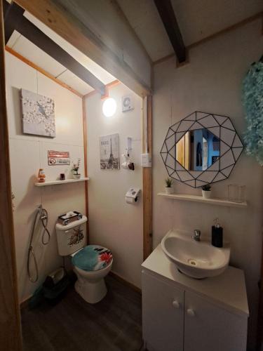 a bathroom with a sink and a toilet and a mirror at Cabaña 2 Atardecer Fandango in Chaitén