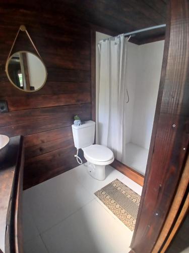 a bathroom with a toilet and a shower and a mirror at El recobeco in Artigas