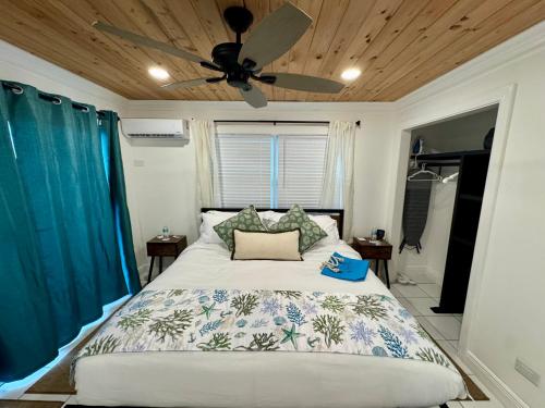 a bedroom with a bed with a ceiling fan at The Calm Water Villas in Georgetown