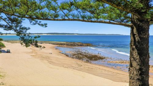 a view of a beach with a tree at Beachfront Breeze - Family Getaway By Holidayco in The Entrance