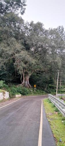 Gallery image of Varshini home stay in Kotagiri