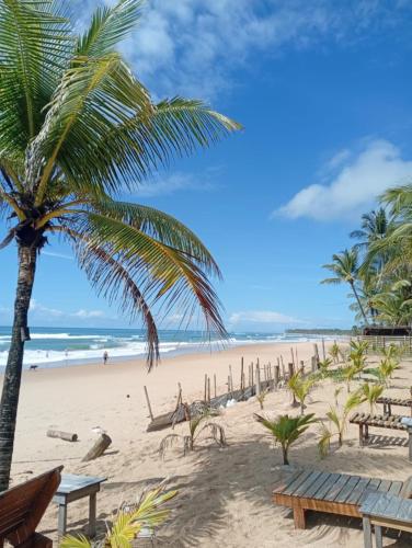 a beach with a palm tree and benches on it at Casa da Prosperidade in Marau
