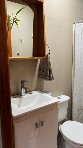 un bagno con lavandino, WC e specchio di Ñande Roga Apart a Puerto Iguazú