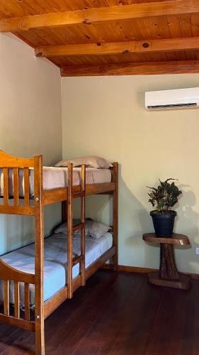 Camera con 2 letti a castello e una pianta in vaso. di Ñande Roga Apart a Puerto Iguazú