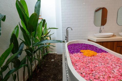 Φωτογραφία από το άλμπουμ του Aruna Villa Dewi Sri σε Legian