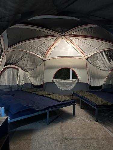 Ένα ή περισσότερα κρεβάτια σε δωμάτιο στο The View 360 Naturestay