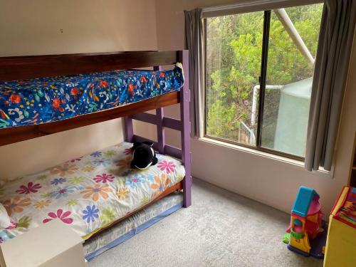 a bunk bed with a cat sitting on the bottom bunk at Lees171 in Evergreen