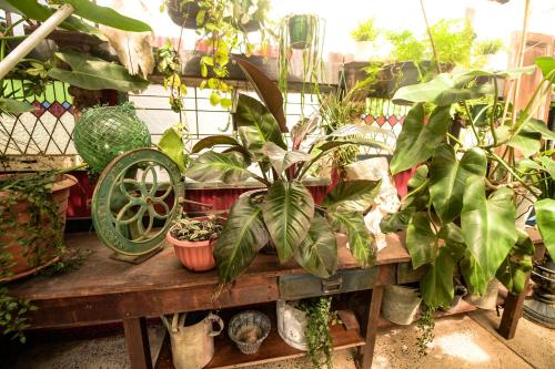 Gallery image of Garden View Apartment - 1 Bedroom in Brunswick Heads