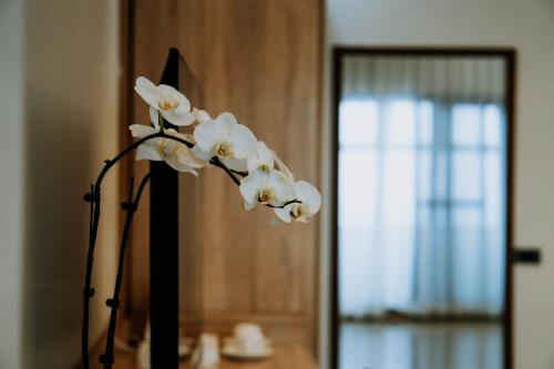 Fotografie z fotogalerie ubytování Rosepine Hotel v destinaci La Trinidad