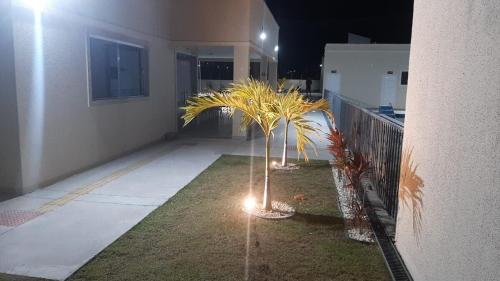 a house with a palm tree in a yard with lights at FLAT ACONCHEGANTE poucos min da praia in Maceió