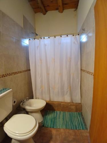 a bathroom with a toilet and a sink and a shower at Dejavú in San Marcos Sierras