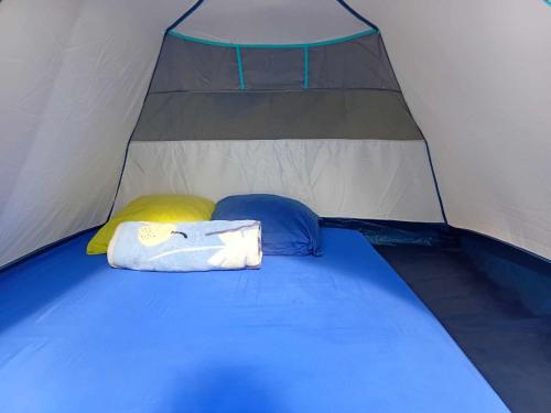 Giường trong phòng chung tại Bora Roots Camp