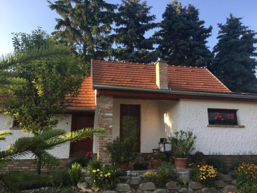 Κήπος έξω από το Szellő Porta