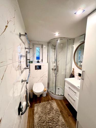 a bathroom with a shower and a toilet and a sink at Pas Milėją in Pabališkiai