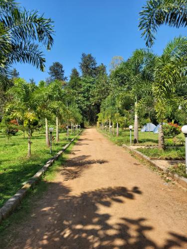 a dirt road in a park with palm trees at Holidaypark in Araku