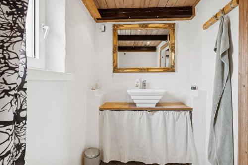 een badkamer met een wastafel en een spiegel bij Country Stay In Cosy Farmhouse With Horses in Bøvlingbjerg