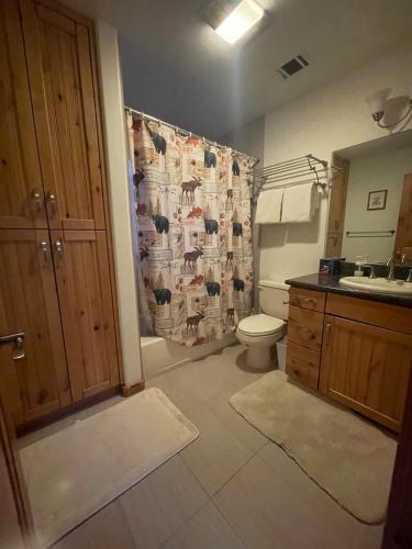 a bathroom with a toilet and a shower curtain at Mountainside Family Chalet in Yosemite West