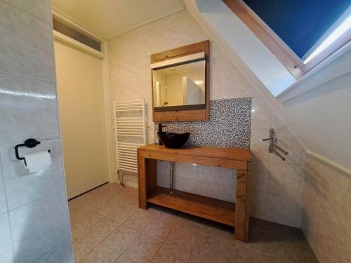 ein Badezimmer mit Waschbecken und Spiegel in der Unterkunft Comfortabel landhuis voor rust en ontspanning in Schoonloo
