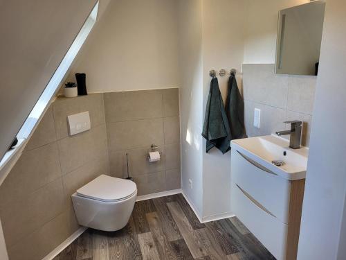 RöhrsenにあるGemütliche Wohnung mit großer Dachterrasseのトイレと洗面台のあるバスルーム