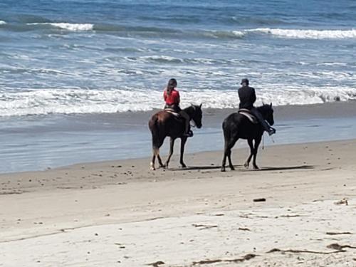 two people are riding horses on the beach at Exotic Oceanfront villa with Private Pool & jacuzzi - Parties & Events in Rosarito