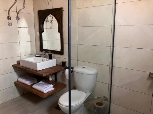 een badkamer met een toilet, een wastafel en een spiegel bij Sultana Palace in ‘Ezbet Abu Ḥabashi