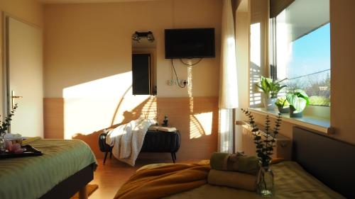 una camera da letto con un letto, una tv e una finestra di Bled Vista Apartments a Bled