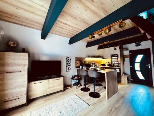 TV a/nebo společenská místnost v ubytování Tiszaparti Meseház