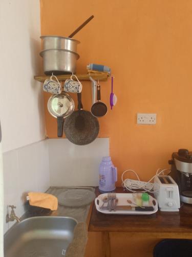 a kitchen with a sink and pots and pans on a counter at Lago Resort - Kakamega Forest in Kakamega