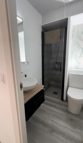 ein Badezimmer mit Waschbecken, Toilette und Dusche in der Unterkunft Montesol beach in Aguadulce