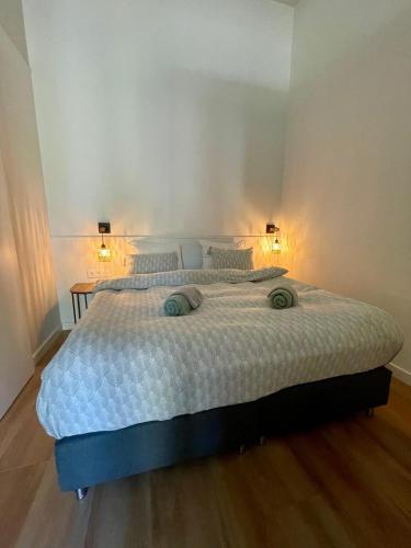 a bedroom with a large bed with two lamps on it at Farmhouse Bintje met Airco in Westdorpe