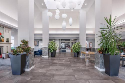 a lobby with potted plants in a building at Hilton Garden Inn Grand Forks-Und in Grand Forks